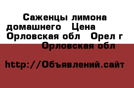 Саженцы лимона домашнего › Цена ­ 400 - Орловская обл., Орел г.  »    . Орловская обл.